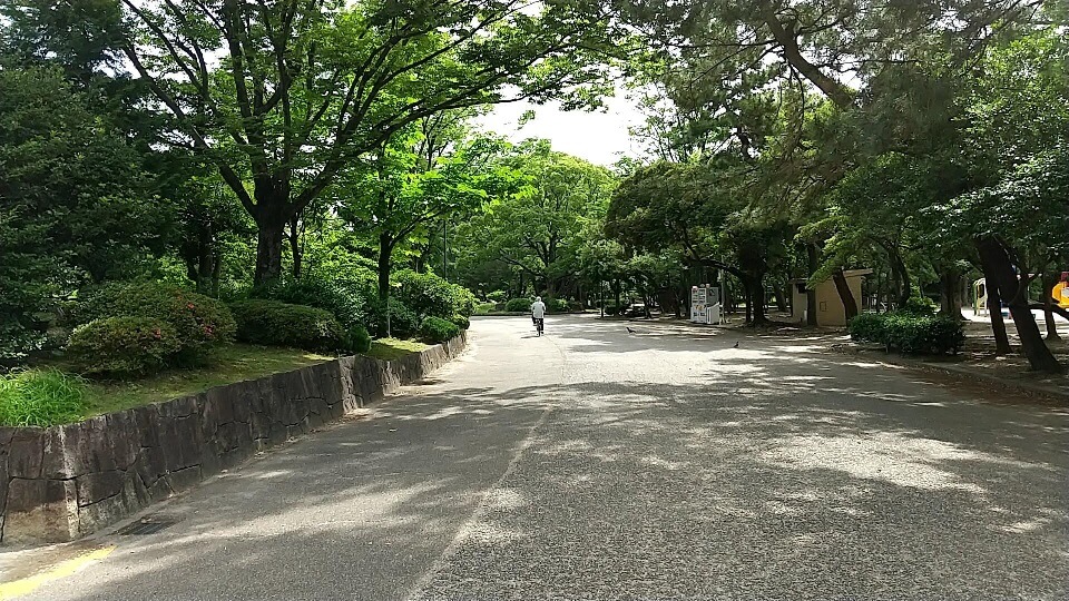 鶴舞公園　散歩道